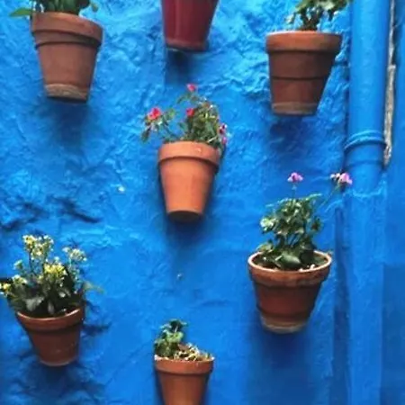 Tatil Evi Casa Chaouen Frigiliana